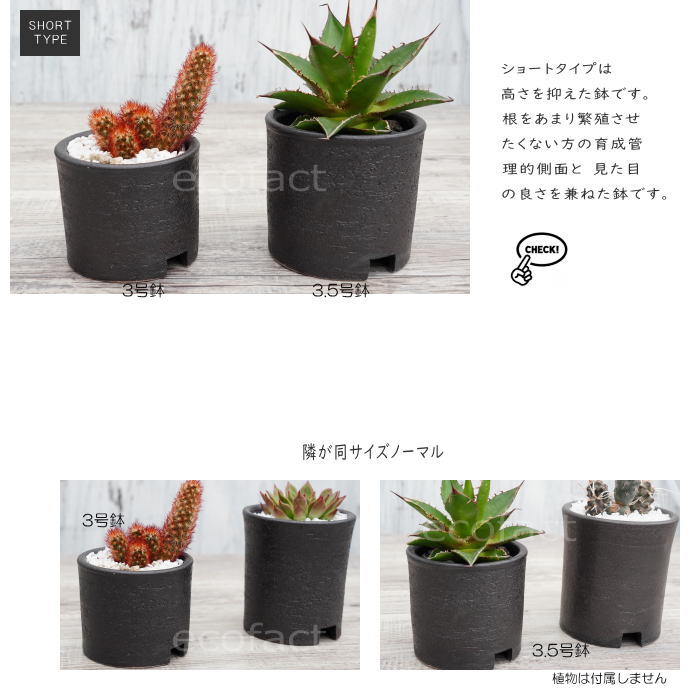 陶器鉢 植木鉢 3号ショートタイプ 筒型 ブラック 艶消し黒 おしゃれ プランター 園芸鉢 かみ山陶器 信楽焼 観葉植物 アガベ サボテン ビザールプランツ 塊根植物 コーデックス 多肉植物 ポット (コピー)