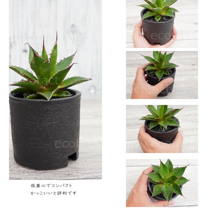 陶器鉢 植木鉢 3.5号ショートタイプ 筒型 ブラック 艶消し黒 おしゃれ プランター 園芸鉢 かみ山陶器 信楽焼 観葉植物 アガベ サボテン ビザールプランツ 塊根植物 コーデックス 多肉植物 ポット