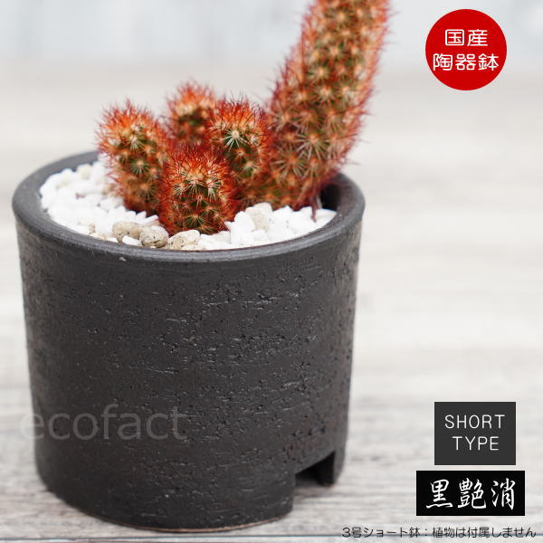 陶器鉢 植木鉢 3号ショートタイプ 筒型 ブラック 艶消し黒 おしゃれ プランター 園芸鉢 かみ山陶器 信楽焼 観葉植物 アガベ サボテン ビザールプランツ 塊根植物 コーデックス 多肉植物 ポット (コピー)
