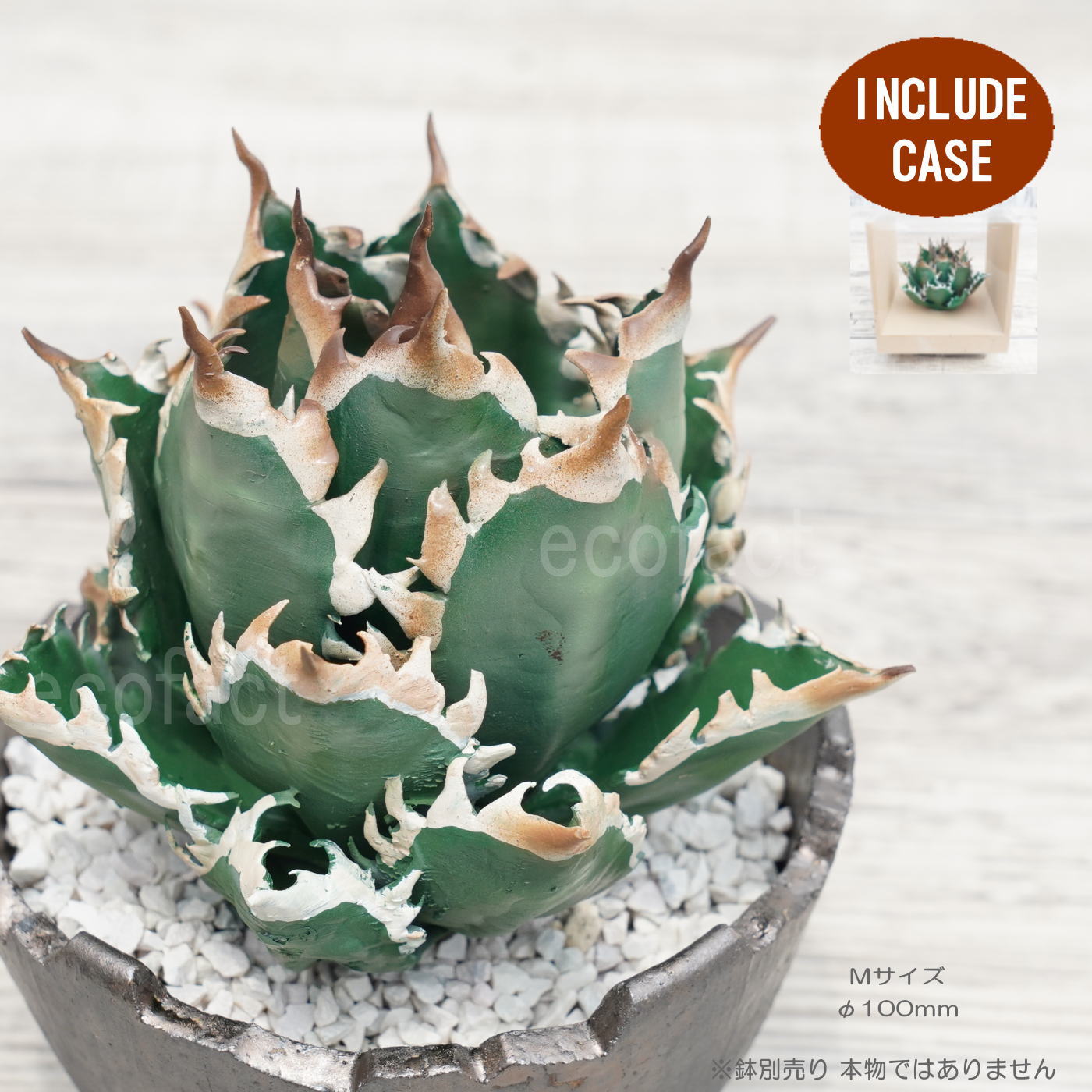 フェイクグリーン 3D フィギュア アガベ チタノタ レッドキャットウィーズル Mサイズ 箱付き φ100mm オーナメント 造花 人工観葉植物 強棘 良形 美株 樹脂 造形 塊根植物 コーデックス 多肉植物 おしゃれ ガーデニング 雑貨 LOBINDON 鉢別売り