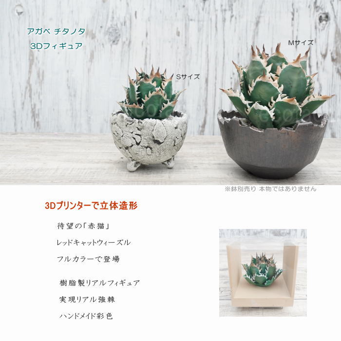 フェイクグリーン 3D フィギュア アガベ チタノタ レッドキャットウィーズル Mサイズ 箱付き φ100mm オーナメント 造花 人工観葉植物 強棘 良形 美株 樹脂 造形 塊根植物 コーデックス 多肉植物 おしゃれ ガーデニング 雑貨 LOBINDON 鉢別売り