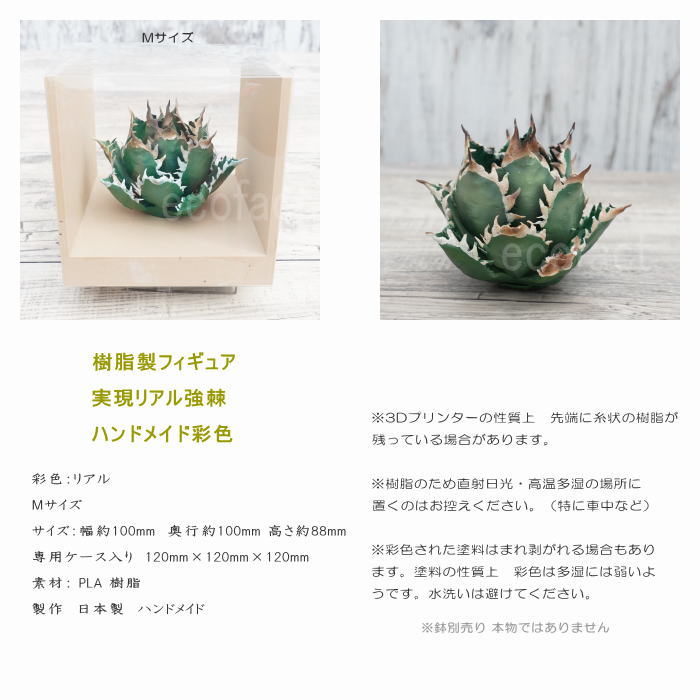 フェイクグリーン 3D フィギュア アガベ チタノタ レッドキャットウィーズル Mサイズ 箱付き φ100mm オーナメント 造花 人工観葉植物 強棘 良形 美株 樹脂 造形 塊根植物 コーデックス 多肉植物 おしゃれ ガーデニング 雑貨 LOBINDON 鉢別売り