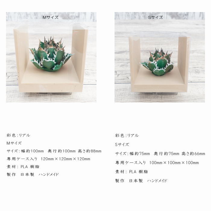 フェイクグリーン 3D フィギュア アガベ チタノタ レッドキャットウィーズル Mサイズ 箱付き φ100mm オーナメント 造花 人工観葉植物 強棘 良形 美株 樹脂 造形 塊根植物 コーデックス 多肉植物 おしゃれ ガーデニング 雑貨 LOBINDON 鉢別売り