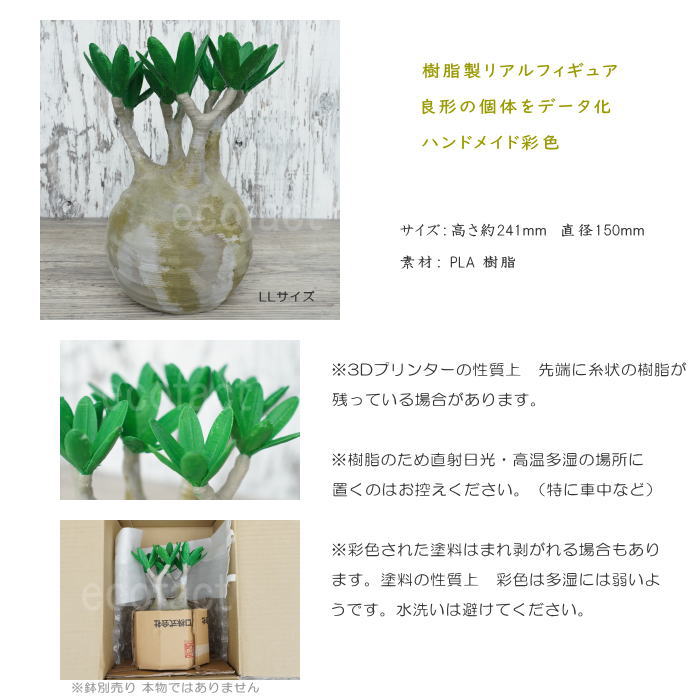 フェイクグリーン 3D フィギュア パキポディウム グラキリス リアル LLサイズ 241mm オーナメント 造花 人工観葉植物 良形 美株 樹脂 造形 塊根植物 コーデックス 多肉植物 おしゃれ ガーデニング 雑貨 LOBINDON 鉢別売り