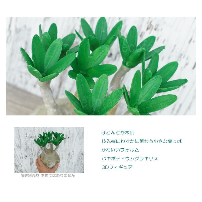 フェイクグリーン 3D フィギュア パキポディウム グラキリス リアル LLサイズ 241mm オーナメント 造花 人工観葉植物 良形 美株 樹脂 造形 塊根植物 コーデックス 多肉植物 おしゃれ ガーデニング 雑貨 LOBINDON 鉢別売り