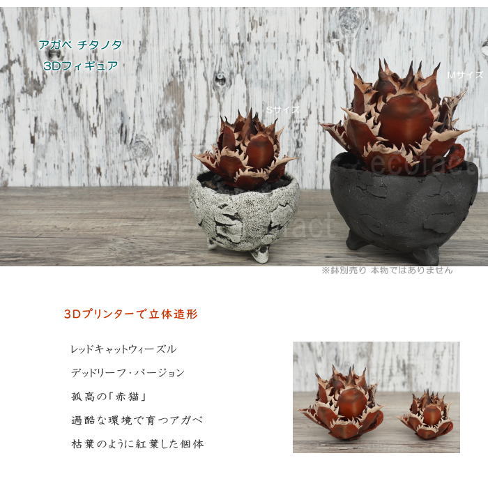 フェイクグリーン 3D フィギュア アガベ チタノタ レッドキャットウィーズル デッドリーフ Mサイズ φ125mm オーナメント 造花 人工観葉植物 強棘 良形 美株 樹脂 造形 塊根植物 コーデックス 多肉植物 おしゃれ ガーデニング 雑貨 LOBINDON 鉢別売り
