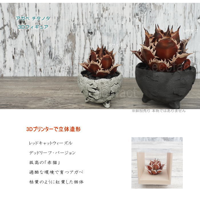 フェイクグリーン 3D フィギュア アガベ チタノタ レッドキャットウィーズル デッドリーフ Sサイズ 箱付き φ80mm オーナメント 造花 人工観葉植物 強棘 良形 美株 樹脂 造形 塊根植物 コーデックス 多肉植物 おしゃれ ガーデニング 雑貨 LOBINDON 鉢別売り