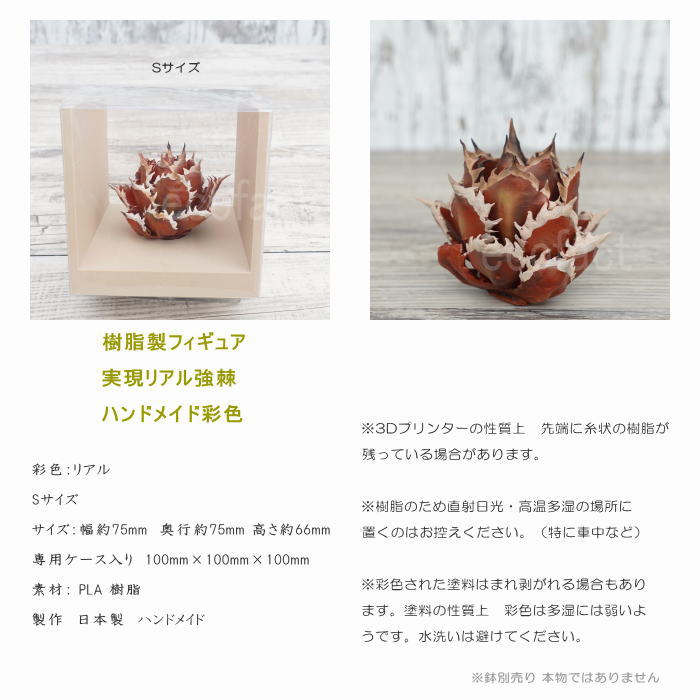 フェイクグリーン 3D フィギュア アガベ チタノタ レッドキャットウィーズル デッドリーフ Sサイズ 箱付き φ80mm オーナメント 造花 人工観葉植物 強棘 良形 美株 樹脂 造形 塊根植物 コーデックス 多肉植物 おしゃれ ガーデニング 雑貨 LOBINDON 鉢別売り