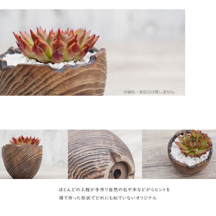 陶器鉢 植木鉢 ミニポット 底穴あり BUNGA POT セラウッド(小) φ9.5cm おしゃれ かわいい プランター 宝寿窯 有田焼 陶芸鉢 観葉植物 アガベ サボテン ビザールプランツ 塊根植物 コーデックス 多肉植物