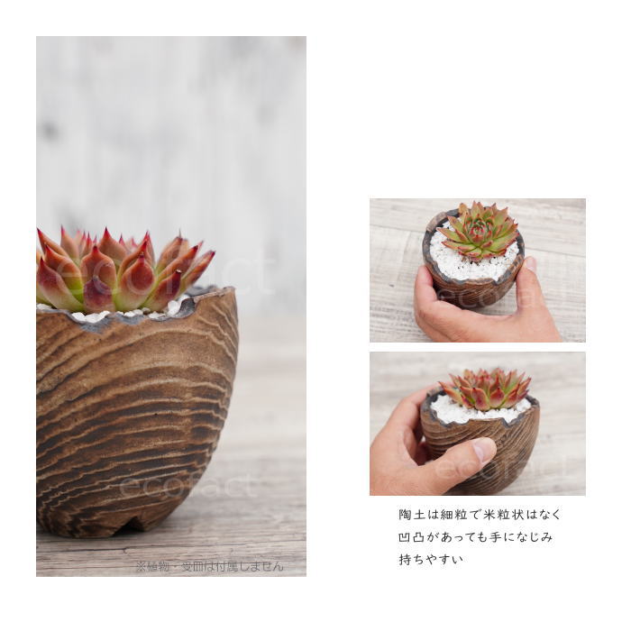 陶器鉢 植木鉢 ミニポット 底穴あり BUNGA POT セラウッド(小) φ9.5cm おしゃれ かわいい プランター 宝寿窯 有田焼 陶芸鉢 観葉植物 アガベ サボテン ビザールプランツ 塊根植物 コーデックス 多肉植物