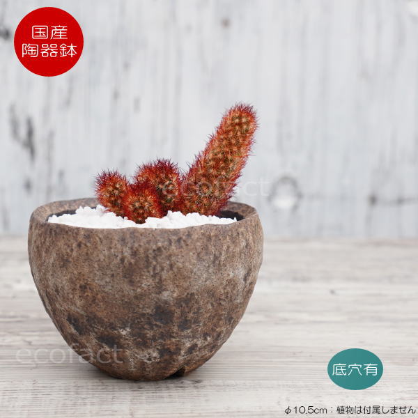陶器鉢 植木鉢 ミニポット 底穴あり BUNGA POT ムーン(小) φ10.5cm おしゃれ かわいい プランター 宝寿窯 有田焼 陶芸鉢 観葉植物 アガベ サボテン ビザールプランツ 塊根植物 コーデックス 多肉植物