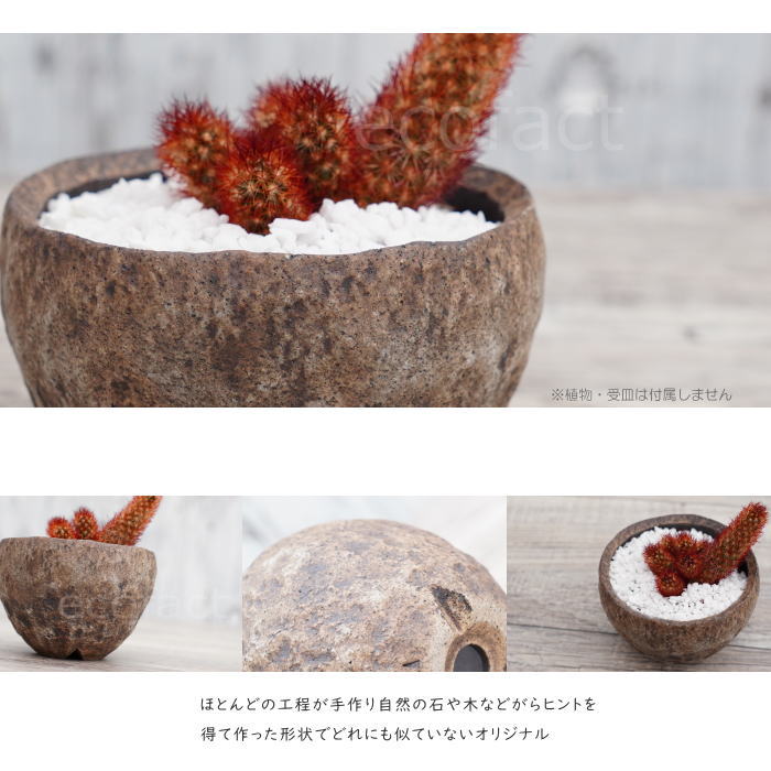 陶器鉢 植木鉢 ミニポット 底穴あり BUNGA POT ムーン(小) φ10.5cm おしゃれ かわいい プランター 宝寿窯 有田焼 陶芸鉢 観葉植物 アガベ サボテン ビザールプランツ 塊根植物 コーデックス 多肉植物