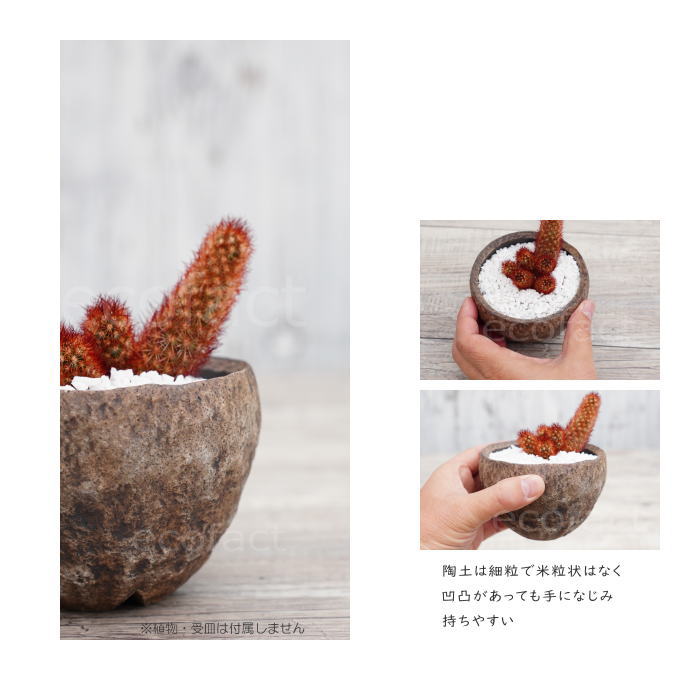 陶器鉢 植木鉢 ミニポット 底穴あり BUNGA POT ムーン(小) φ10.5cm おしゃれ かわいい プランター 宝寿窯 有田焼 陶芸鉢 観葉植物 アガベ サボテン ビザールプランツ 塊根植物 コーデックス 多肉植物