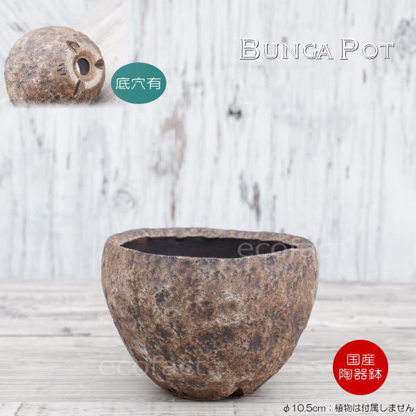 陶器鉢 植木鉢 ミニポット 底穴あり BUNGA POT ムーン(小) φ10.5cm おしゃれ かわいい プランター 宝寿窯 有田焼 陶芸鉢 観葉植物 アガベ サボテン ビザールプランツ 塊根植物 コーデックス 多肉植物