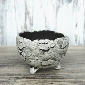 陶器鉢 植木鉢 ミニポット 底穴あり BUNGA POT エッグ(S) (ホワイト/グレイ) φ10.5cm おしゃれ かわいい プランター 宝寿窯 有田焼 陶芸鉢 観葉植物 アガベ サボテン ビザールプランツ 塊根植物 コーデックス 多肉植物
