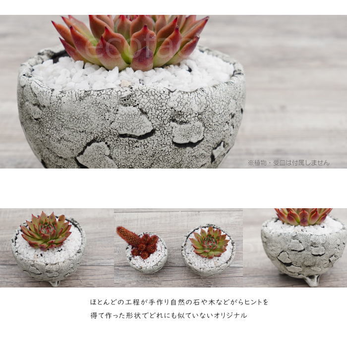 陶器鉢 植木鉢 ミニポット 底穴あり BUNGA POT エッグ(S) (ホワイト/グレイ) φ10.5cm おしゃれ かわいい プランター 宝寿窯 有田焼 陶芸鉢 観葉植物 アガベ サボテン ビザールプランツ 塊根植物 コーデックス 多肉植物