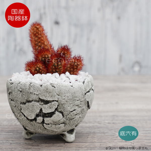 陶器鉢 植木鉢 ミニポット 底穴あり BUNGA POT エッグ(SS)白 ホワイト φ9cm おしゃれ かわいい プランター 宝寿窯 有田焼 陶芸鉢 観葉植物 アガベ サボテン ビザールプランツ 塊根植物 コーデックス 多肉植物