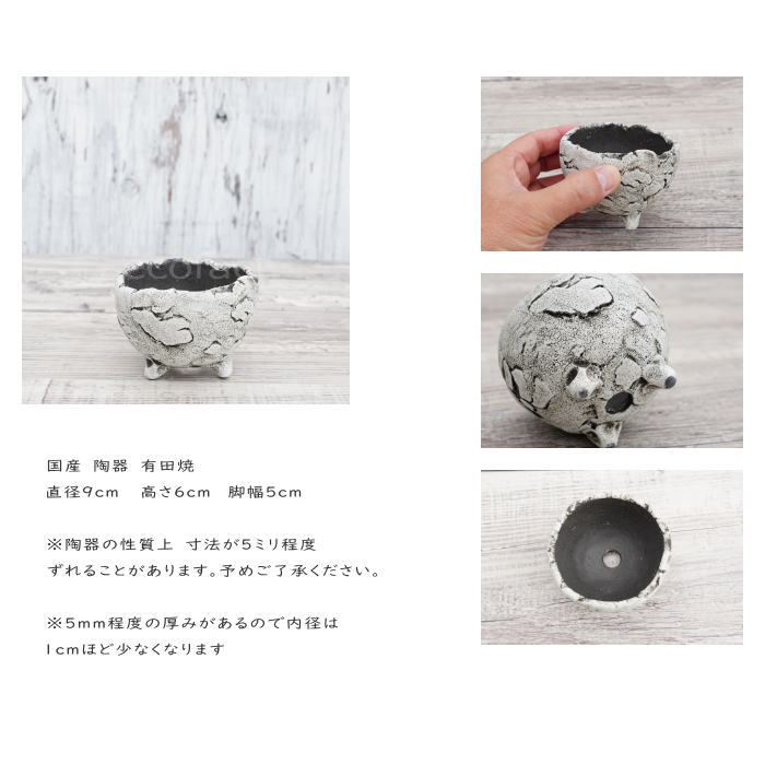 陶器鉢 植木鉢 ミニポット 底穴あり BUNGA POT エッグ(SS)白 ホワイト φ9cm おしゃれ かわいい プランター 宝寿窯 有田焼 陶芸鉢 観葉植物 アガベ サボテン ビザールプランツ 塊根植物 コーデックス 多肉植物