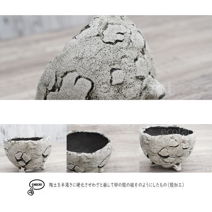 陶器鉢 植木鉢 ミニポット 底穴あり BUNGA POT エッグ(SS)白 ホワイト φ9cm おしゃれ かわいい プランター 宝寿窯 有田焼 陶芸鉢 観葉植物 アガベ サボテン ビザールプランツ 塊根植物 コーデックス 多肉植物