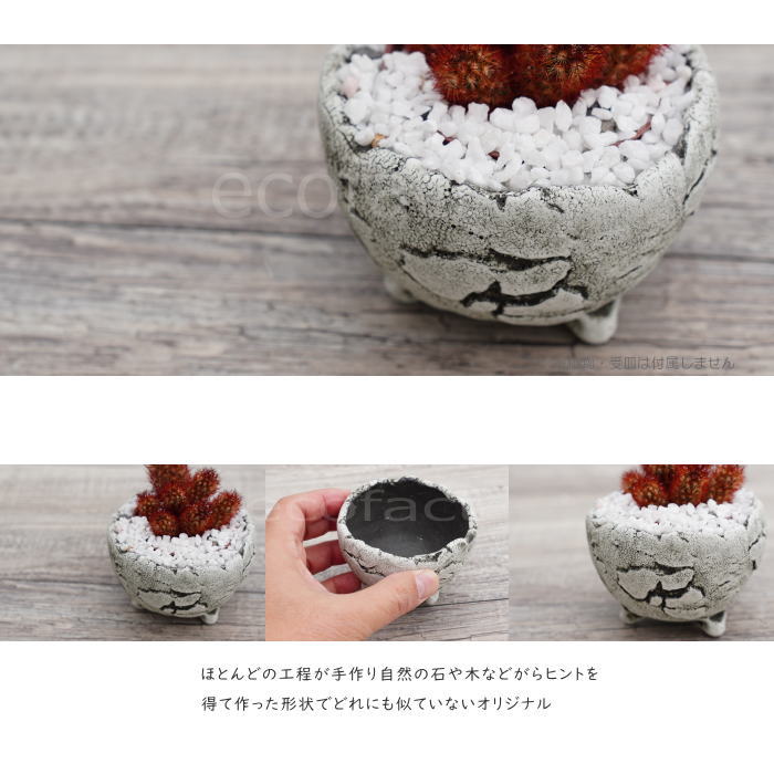 陶器鉢 植木鉢 ミニポット 底穴あり BUNGA POT エッグ(SS)白 ホワイト φ9cm おしゃれ かわいい プランター 宝寿窯 有田焼 陶芸鉢 観葉植物 アガベ サボテン ビザールプランツ 塊根植物 コーデックス 多肉植物