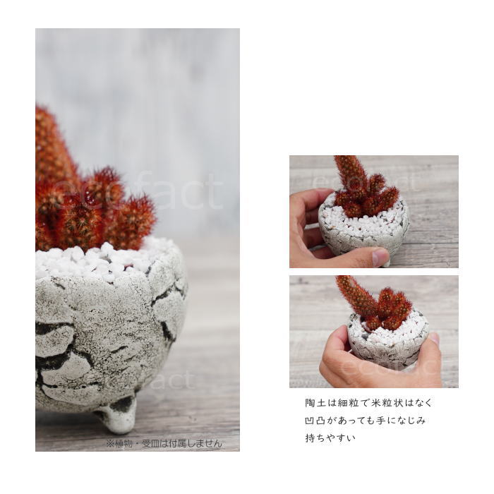 陶器鉢 植木鉢 ミニポット 底穴あり BUNGA POT エッグ(SS)白 ホワイト φ9cm おしゃれ かわいい プランター 宝寿窯 有田焼 陶芸鉢 観葉植物 アガベ サボテン ビザールプランツ 塊根植物 コーデックス 多肉植物