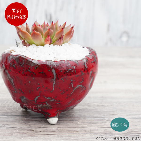 陶器鉢 植木鉢 ミニポット 底穴あり BUNGA POT マグマ(S)赤 レッド φ10.5cm おしゃれ かわいい プランター 宝寿窯 有田焼 陶芸鉢 観葉植物 アガベ サボテン ビザールプランツ 塊根植物 コーデックス 多肉植物