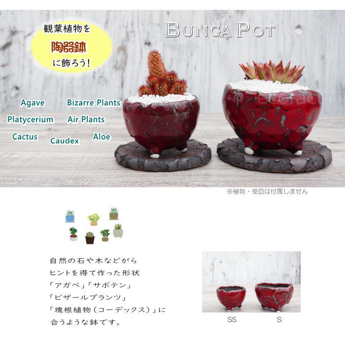 陶器鉢 植木鉢 ミニポット 底穴あり BUNGA POT マグマ(S)赤 レッド φ10.5cm おしゃれ かわいい プランター 宝寿窯 有田焼 陶芸鉢 観葉植物 アガベ サボテン ビザールプランツ 塊根植物 コーデックス 多肉植物