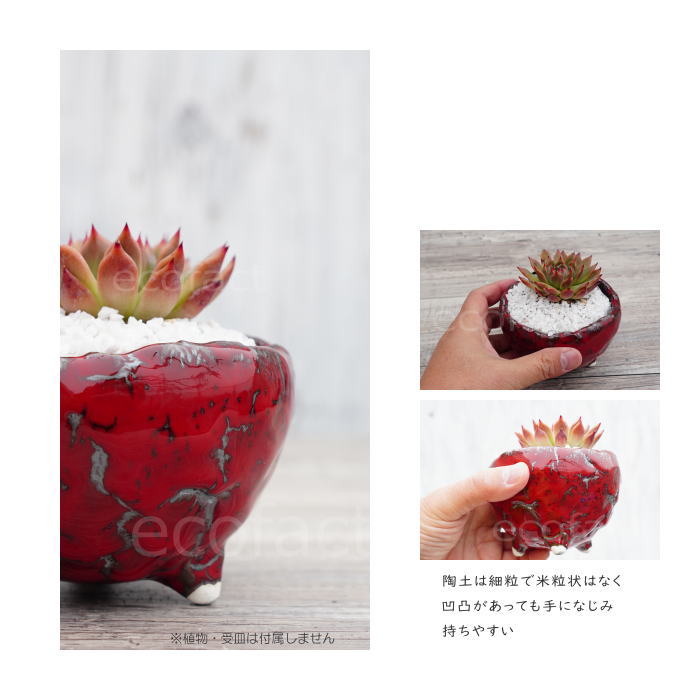陶器鉢 植木鉢 ミニポット 底穴あり BUNGA POT マグマ(S)赤 レッド φ10.5cm おしゃれ かわいい プランター 宝寿窯 有田焼 陶芸鉢 観葉植物 アガベ サボテン ビザールプランツ 塊根植物 コーデックス 多肉植物