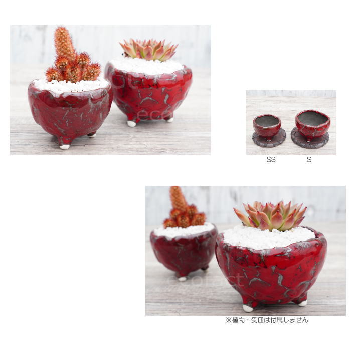 陶器鉢 植木鉢 ミニポット 底穴あり BUNGA POT マグマ(S)赤 レッド φ10.5cm おしゃれ かわいい プランター 宝寿窯 有田焼 陶芸鉢 観葉植物 アガベ サボテン ビザールプランツ 塊根植物 コーデックス 多肉植物