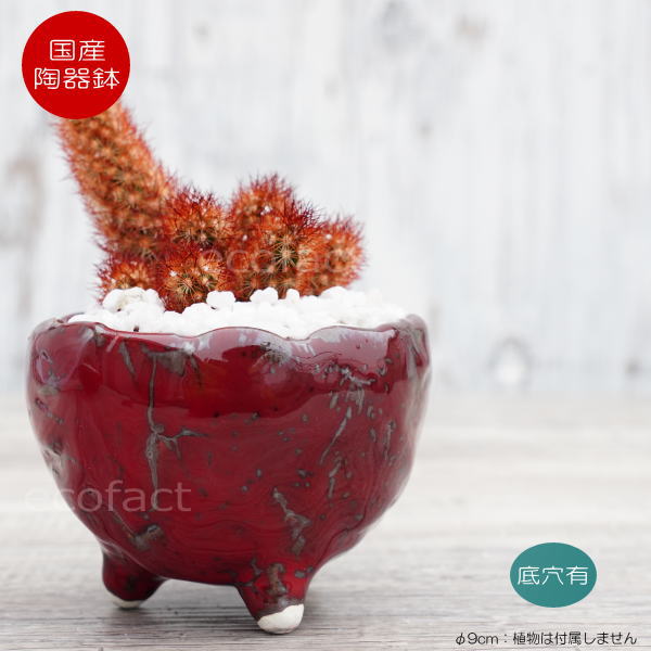陶器鉢 植木鉢 ミニポット 底穴あり BUNGA POT マグマ(SS)赤 レッド φ9cm おしゃれ かわいい プランター 宝寿窯 有田焼 陶芸鉢 観葉植物 アガベ サボテン ビザールプランツ 塊根植物 コーデックス 多肉植物