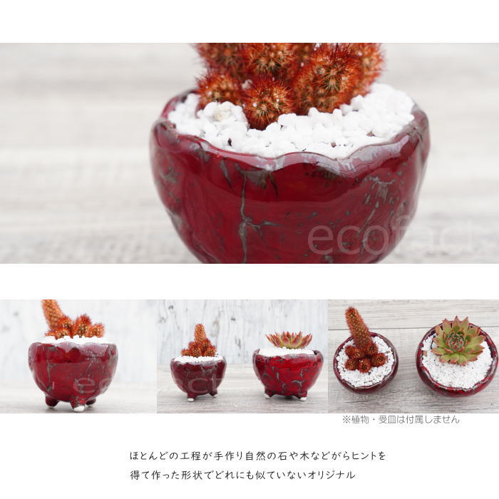 陶器鉢 植木鉢 ミニポット 底穴あり BUNGA POT マグマ(SS)赤 レッド φ9cm おしゃれ かわいい プランター 宝寿窯 有田焼 陶芸鉢 観葉植物 アガベ サボテン ビザールプランツ 塊根植物 コーデックス 多肉植物