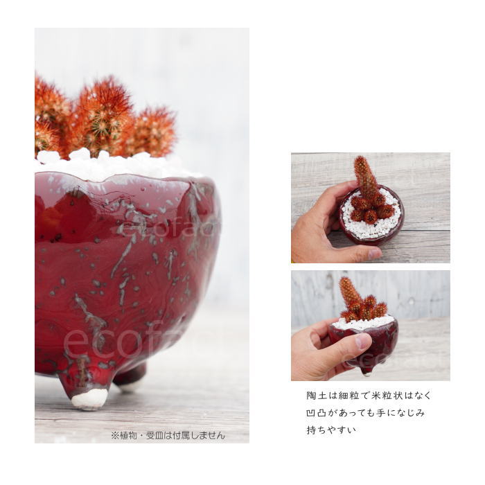 陶器鉢 植木鉢 ミニポット 底穴あり BUNGA POT マグマ(SS)赤 レッド φ9cm おしゃれ かわいい プランター 宝寿窯 有田焼 陶芸鉢 観葉植物 アガベ サボテン ビザールプランツ 塊根植物 コーデックス 多肉植物