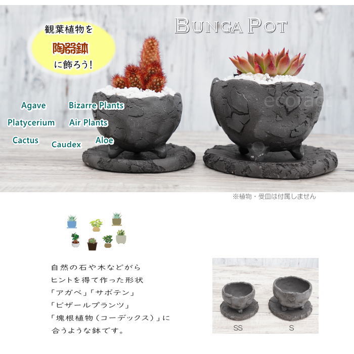 陶器鉢 植木鉢 ミニポット 底穴あり BUNGA POT エッグ(SS)黒 ブラック φ9cm おしゃれ かわいい プランター 宝寿窯 有田焼 陶芸鉢 観葉植物 アガベ サボテン ビザールプランツ 塊根植物 コーデックス 多肉植物