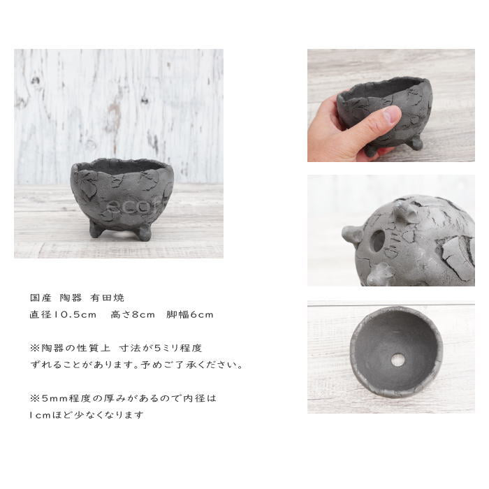 陶器鉢 植木鉢 ミニポット 底穴あり BUNGA POT エッグ(S)黒 ブラック φ10.5cm おしゃれ かわいい プランター 宝寿窯 有田焼 陶芸鉢 観葉植物 アガベ サボテン ビザールプランツ 塊根植物 コーデックス 多肉植物