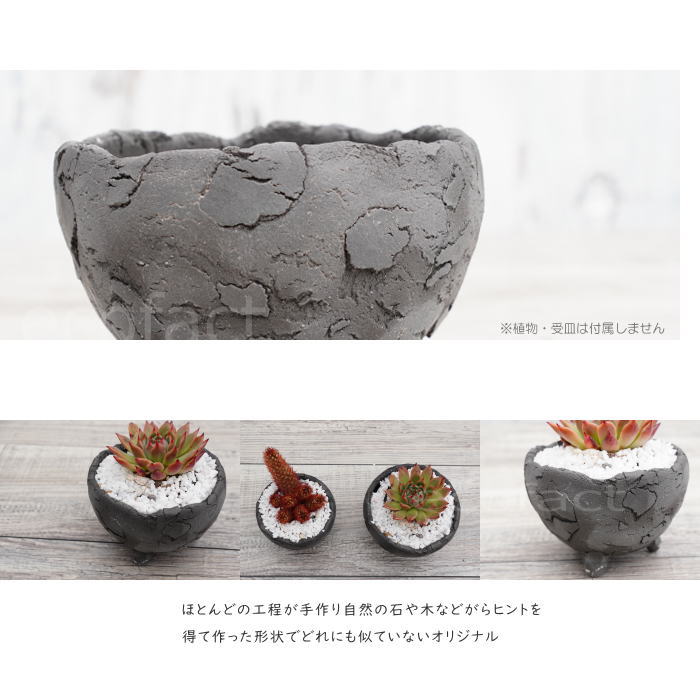 陶器鉢 植木鉢 ミニポット 底穴あり BUNGA POT エッグ(SS)黒 ブラック φ9cm おしゃれ かわいい プランター 宝寿窯 有田焼 陶芸鉢 観葉植物 アガベ サボテン ビザールプランツ 塊根植物 コーデックス 多肉植物