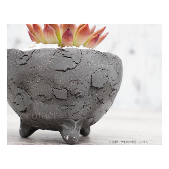 陶器鉢 植木鉢 ミニポット 底穴あり BUNGA POT エッグ(S)黒 ブラック φ10.5cm おしゃれ かわいい プランター 宝寿窯 有田焼 陶芸鉢 観葉植物 アガベ サボテン ビザールプランツ 塊根植物 コーデックス 多肉植物
