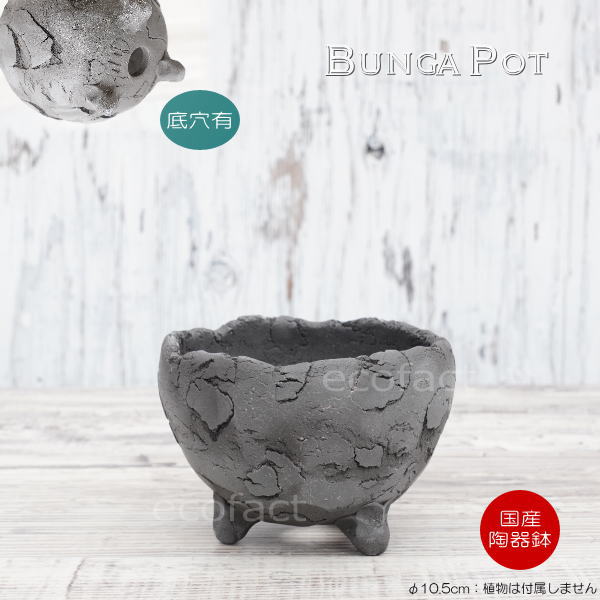 陶器鉢 植木鉢 ミニポット 底穴あり BUNGA POT エッグ(S)黒 ブラック φ10.5cm おしゃれ かわいい プランター 宝寿窯 有田焼 陶芸鉢 観葉植物 アガベ サボテン ビザールプランツ 塊根植物 コーデックス 多肉植物