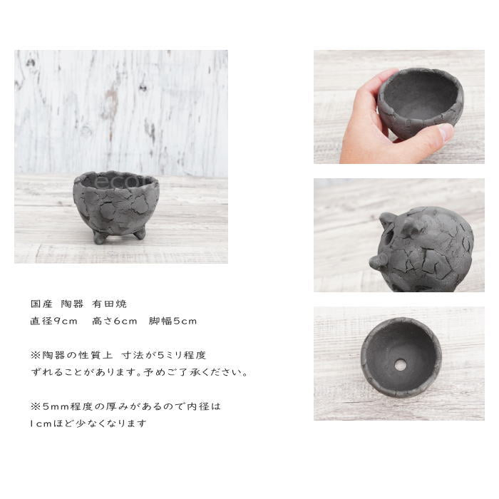 陶器鉢 植木鉢 ミニポット 底穴あり BUNGA POT エッグ(SS)黒 ブラック φ9cm おしゃれ かわいい プランター 宝寿窯 有田焼 陶芸鉢 観葉植物 アガベ サボテン ビザールプランツ 塊根植物 コーデックス 多肉植物