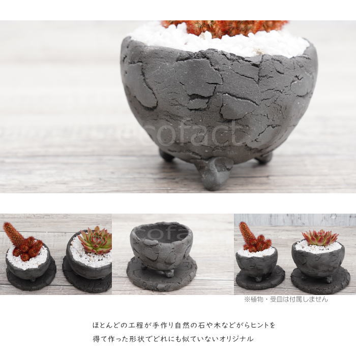 陶器鉢 植木鉢 ミニポット 底穴あり BUNGA POT エッグ(SS)黒 ブラック φ9cm おしゃれ かわいい プランター 宝寿窯 有田焼 陶芸鉢 観葉植物 アガベ サボテン ビザールプランツ 塊根植物 コーデックス 多肉植物