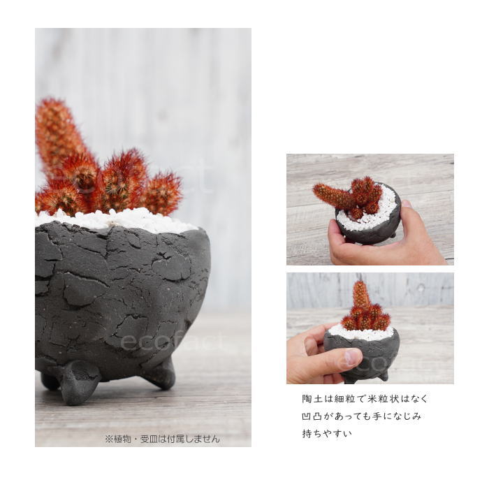 陶器鉢 植木鉢 ミニポット 底穴あり BUNGA POT エッグ(SS)黒 ブラック φ9cm おしゃれ かわいい プランター 宝寿窯 有田焼 陶芸鉢 観葉植物 アガベ サボテン ビザールプランツ 塊根植物 コーデックス 多肉植物