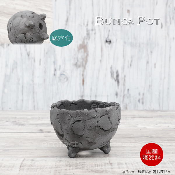 陶器鉢 植木鉢 ミニポット 底穴あり BUNGA POT エッグ(SS)黒 ブラック φ9cm おしゃれ かわいい プランター 宝寿窯 有田焼 陶芸鉢 観葉植物 アガベ サボテン ビザールプランツ 塊根植物 コーデックス 多肉植物
