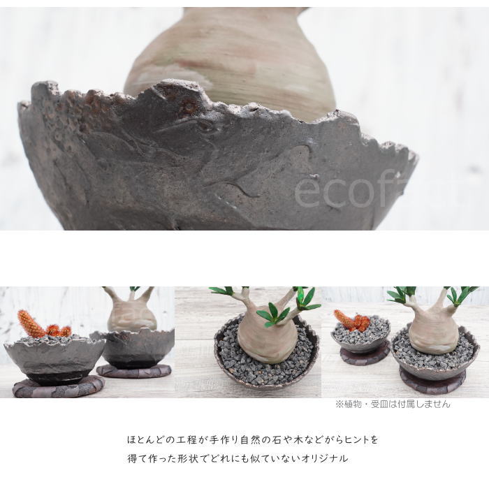 陶器鉢 植木鉢 ミニポット 底穴あり BUNGA POT クラウン 平型 (大)ガンメタリック φ17cm おしゃれ かわいい プランター 宝寿窯 有田焼 陶芸鉢 観葉植物 アガベ サボテン ビザールプランツ 塊根植物 コーデックス 多肉植物