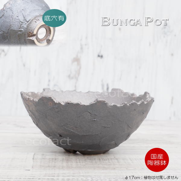 陶器鉢 植木鉢 ミニポット 底穴あり BUNGA POT クラウン 平型 (大)ガンメタリック φ17cm おしゃれ かわいい プランター 宝寿窯 有田焼 陶芸鉢 観葉植物 アガベ サボテン ビザールプランツ 塊根植物 コーデックス 多肉植物