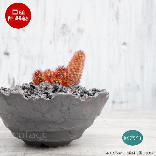 陶器鉢 植木鉢 ミニポット 底穴あり BUNGA POT クラウン 平型 (小)ガンメタリック φ13.5cm おしゃれ かわいい プランター 宝寿窯 有田焼 陶芸鉢 観葉植物 アガベ サボテン ビザールプランツ 塊根植物 コーデックス 多肉植物