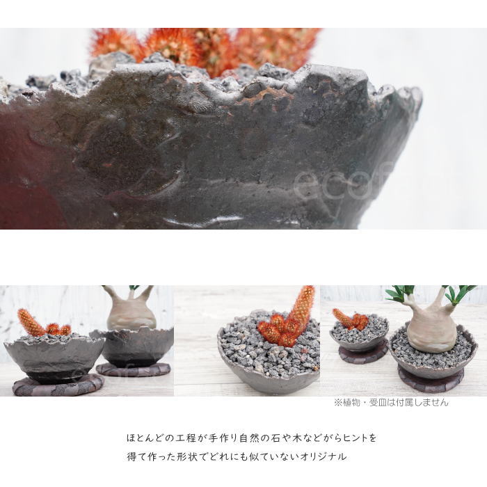 陶器鉢 植木鉢 ミニポット 底穴あり BUNGA POT クラウン 平型 (小)ガンメタリック φ13.5cm おしゃれ かわいい プランター 宝寿窯 有田焼 陶芸鉢 観葉植物 アガベ サボテン ビザールプランツ 塊根植物 コーデックス 多肉植物