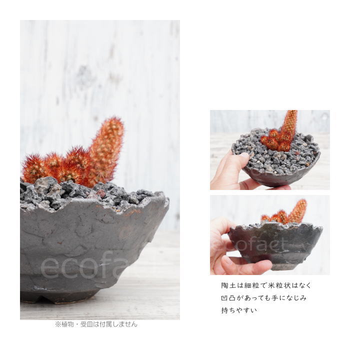 陶器鉢 植木鉢 ミニポット 底穴あり BUNGA POT クラウン 平型 (小)ガンメタリック φ13.5cm おしゃれ かわいい プランター 宝寿窯 有田焼 陶芸鉢 観葉植物 アガベ サボテン ビザールプランツ 塊根植物 コーデックス 多肉植物