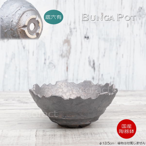 陶器鉢 植木鉢 ミニポット 底穴あり BUNGA POT クラウン 平型 (小)ガンメタリック φ13.5cm おしゃれ かわいい プランター 宝寿窯 有田焼 陶芸鉢 観葉植物 アガベ サボテン ビザールプランツ 塊根植物 コーデックス 多肉植物