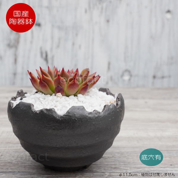 陶器鉢 植木鉢 ミニポット 底穴あり BUNGA POT クラウン 丸型 (小)ガンメタリック φ11.5cm おしゃれ かわいい プランター 宝寿窯 有田焼 陶芸鉢 観葉植物 アガベ サボテン ビザールプランツ 塊根植物 コーデックス 多肉植物
