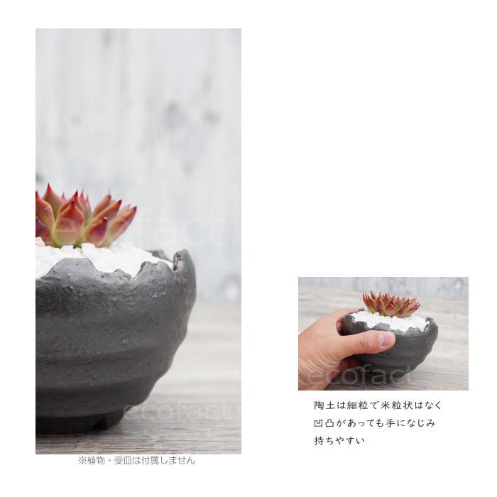 陶器鉢 植木鉢 ミニポット 底穴あり BUNGA POT クラウン 丸型 (小)ガンメタリック φ11.5cm おしゃれ かわいい プランター 宝寿窯 有田焼 陶芸鉢 観葉植物 アガベ サボテン ビザールプランツ 塊根植物 コーデックス 多肉植物
