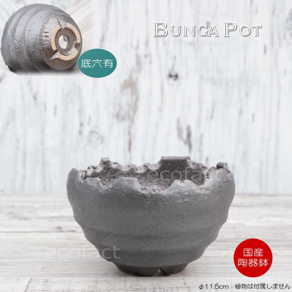 陶器鉢 植木鉢 ミニポット 底穴あり BUNGA POT クラウン 丸型 (小)ガンメタリック φ11.5cm おしゃれ かわいい プランター 宝寿窯 有田焼 陶芸鉢 観葉植物 アガベ サボテン ビザールプランツ 塊根植物 コーデックス 多肉植物